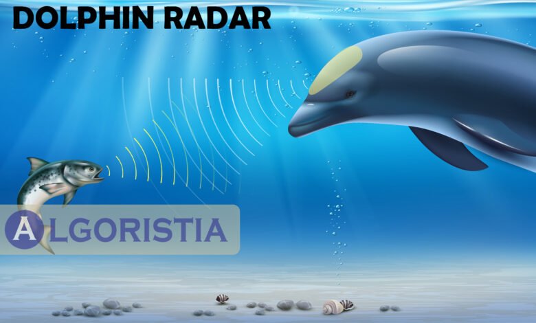 Dolphin Radar